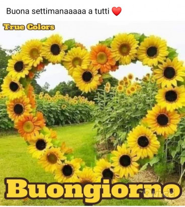 Gruppo amicizie  foto-34367