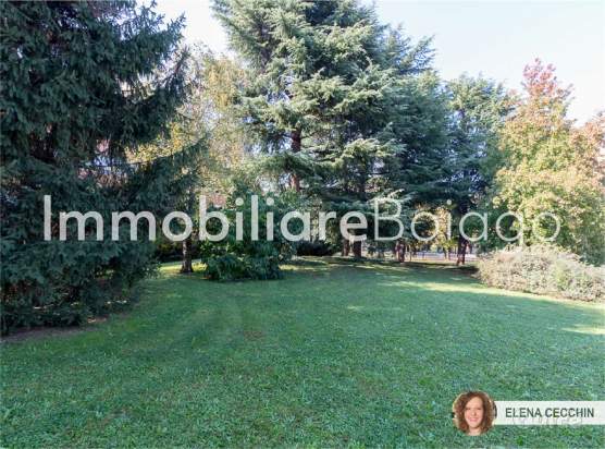 TRICAMERE, DOPPI SERVIZI a Treviso foto-34533