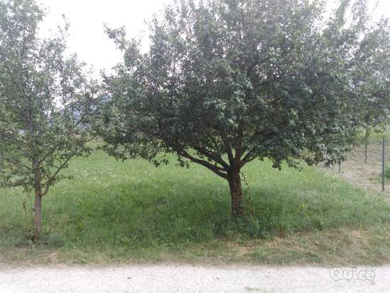 Terreno Edificabile a Vallarsa foto-305948