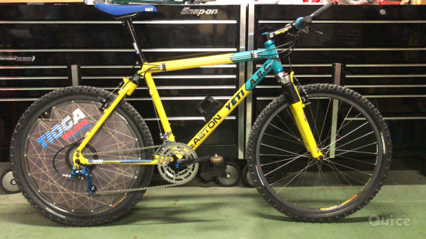 Cerco Mtb Vintage  foto-310371