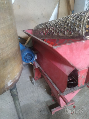 Botti vino vetroresina torchio damigiane spremitrice elettrica ecc.. foto-314722