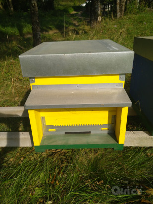 Arnie Dadant da 10 con fondo antivarroa nuove foto-37135