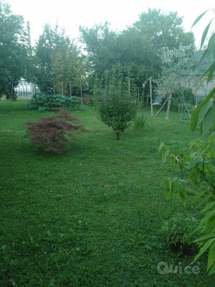 Casa Indipendente  foto-324929