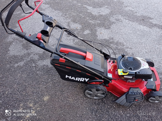 PREZZO DI FINE STAGIONE . foto-37661