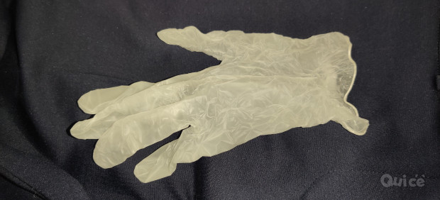 guanti vinile foto-340311