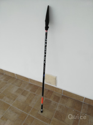 Canna bolognese 7 mt foto-341234