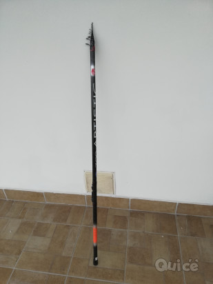 Canna bolognese 7 mt foto-39291