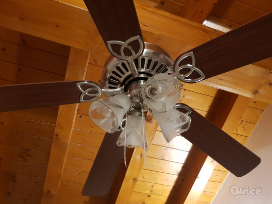 Ventilatore da soffitto cinque pale foto-40440