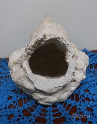 Busto / volto in gesso foto-350248