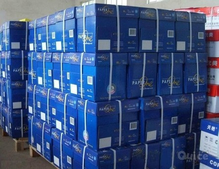 Double A4, cancelleria per ufficio, paperone, xerox, chamex, paperline, Ik plus, foto-351675