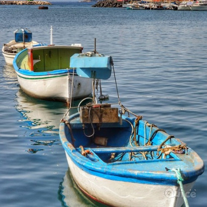 ISOLA d'ELBA & i suoi Borghi - 2 Giorni e 1 Notte foto-352051