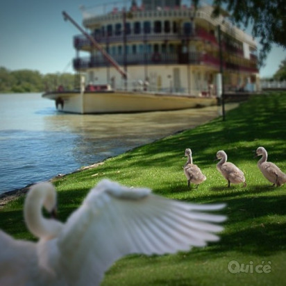 MANTOVA & NAVIGAZIONE sul Mincio - 1 Giorno foto-352057