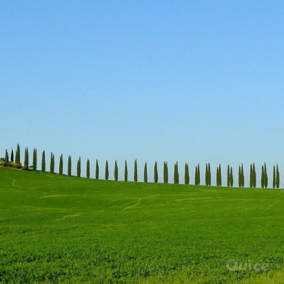 ISOLA del GIGLIO tra Gusto e Degustazione - 3 Giorni e 2 Notti foto-352061