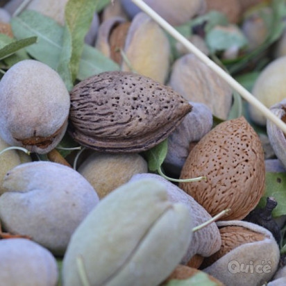 PUGLIA & le sue Bellezze PASQUA - 4 Giorni e 3 Notti foto-352069