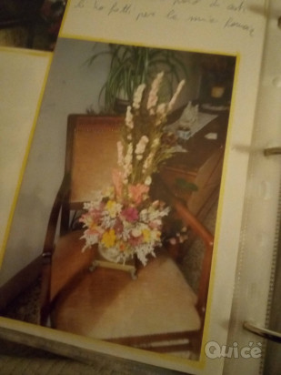 Cercasi amico per scambi profittevoli, ospitalità e condivisione foto-353047