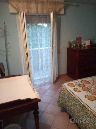 Cercasi amico per scambi profittevoli, ospitalità e condivisione foto-40859