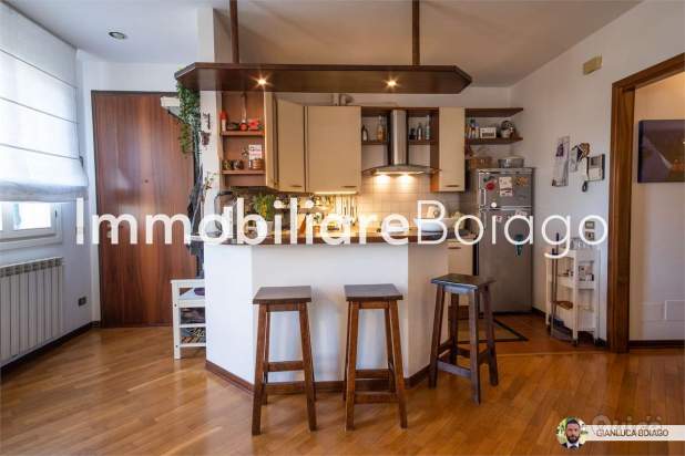 AMPIO MINI APPARTAMENTO a Silea foto-353430