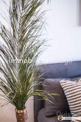 AMPIO MINI APPARTAMENTO a Silea foto-353443