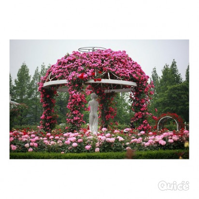 LAGO DI BOLSENA, CIVITA BAGNOREGIO & VITERBO - 2 Giorni e 1 Notte foto-354830