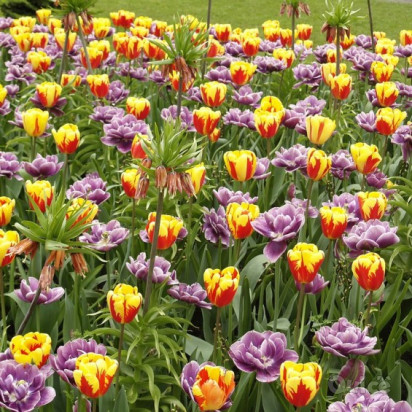 PARCO SIGURTA' & PESCHIERA - 1 Giorno foto-355166