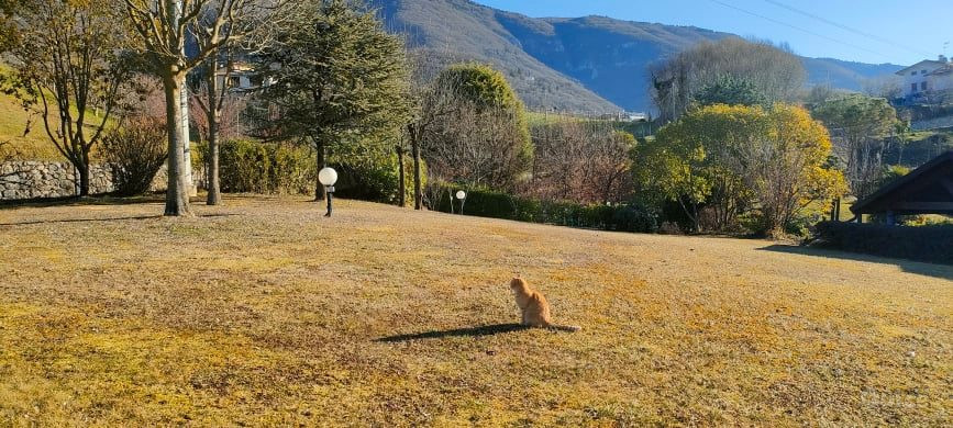 Vendo terreno edificabile VARIE METRATURE. foto-358469