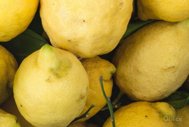 LIMONI 75 centesimi Kg foto-42424