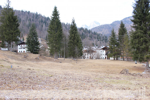RIF. 529 - TERRENO EDIFICABILE RESIDENZIALE A FORNO DI ZOLDO foto-4301