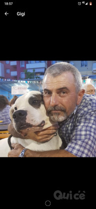 Cerco una compagna foto-43579