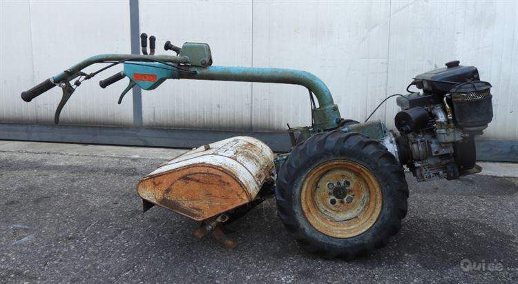 Motocoltivatore Bertolini con fresa foto-373707