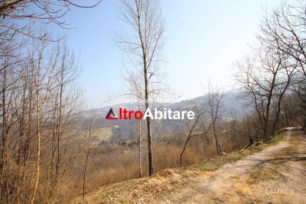 Bosco ceduo di 30.000 mq con rustico da ristruttur a Borgo Valbelluna foto-380188