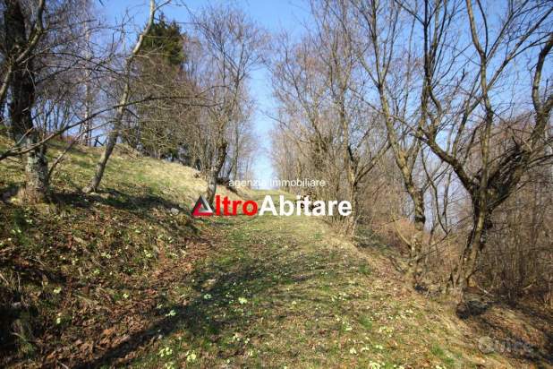 Bosco ceduo di 30.000 mq con rustico da ristruttur a Borgo Valbelluna foto-380185