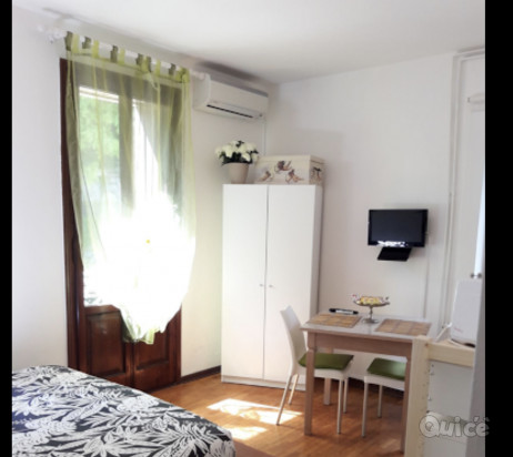 cerco collaboratrice domestica amante degli animali foto-45577