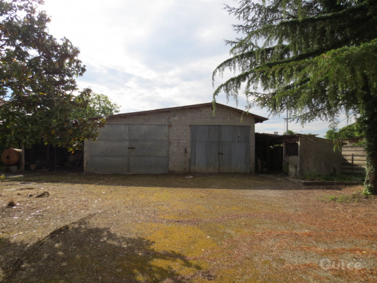 Casa tipica a Bertiolo foto-393380