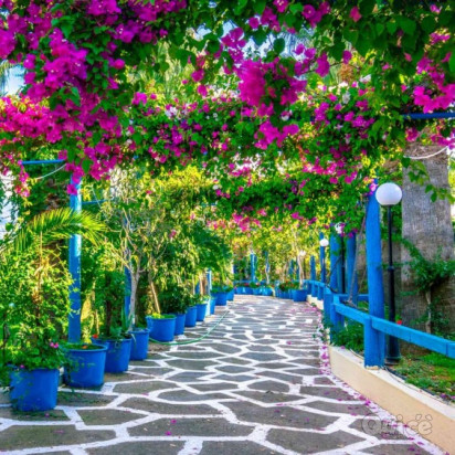 COSTIERA  AMALFITANA, CAPRI, VESUVIO, POMPEI, NAPOLI, REGGIA - 12 Giugno foto-393759