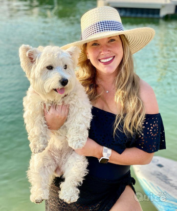 Cucciolo di westie affettuoso disponibile per l'adozione             foto-395696