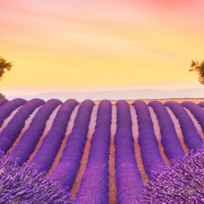 PROVENZA, LAVANDA & CAMARGUE 06/07 foto-402053