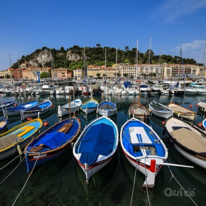 PROVENZA, LAVANDA & CAMARGUE 06/07 foto-402051