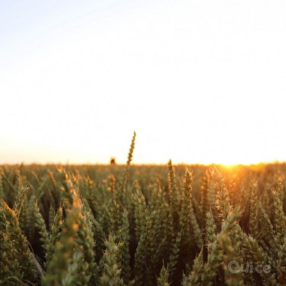 NORMANDIA & BRETAGNA 09/08 foto-404538