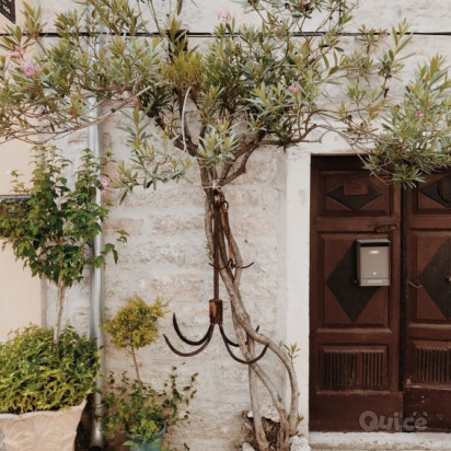 PUGLIA & MATERA 22/08 foto-405441