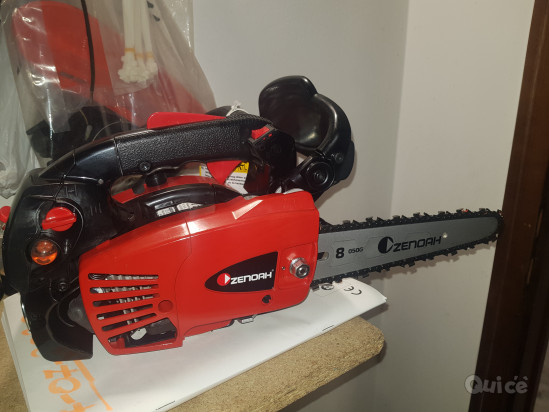 Motosega potatura  foto-405727