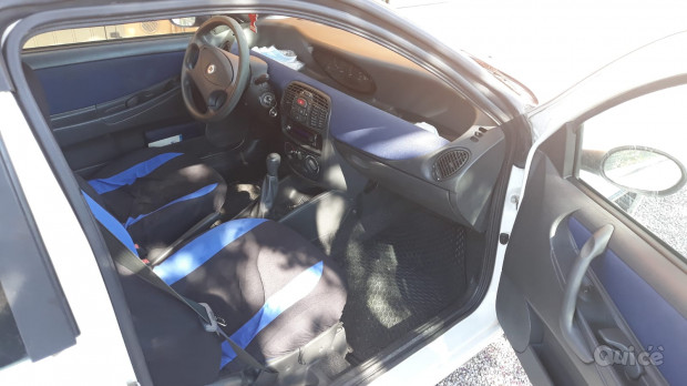 Y ELEFantino foto-419017