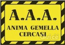 Loredana Agenzia New Life foto-49256