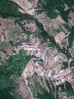 Terreno Agricolo [uliveto] &ndash; Scigliano (CS) foto-425860