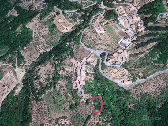 Terreno Agricolo [uliveto] &ndash; Scigliano (CS) foto-425859