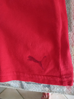 Maglietta rossa Ferrari  foto-426890