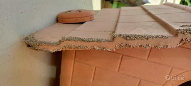 Regalo cuccia foto-434266