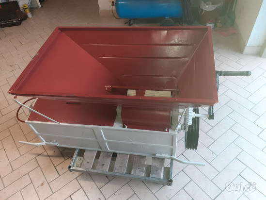 Pigiadiraspatrice foto-434279