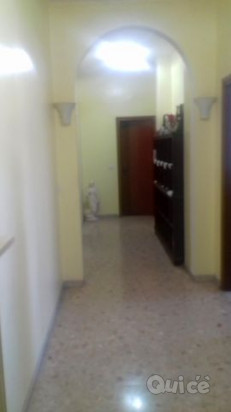 TRICAMERE TREVISO S.ANTONINO OSPEDALE foto-33171