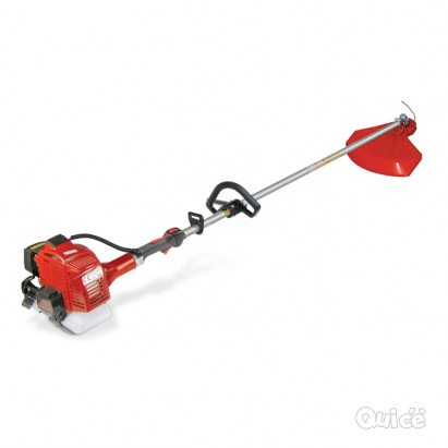 decespugliatori motore Kawasaki e Honda foto-6396