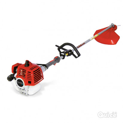 Decespugliatore foto-6398